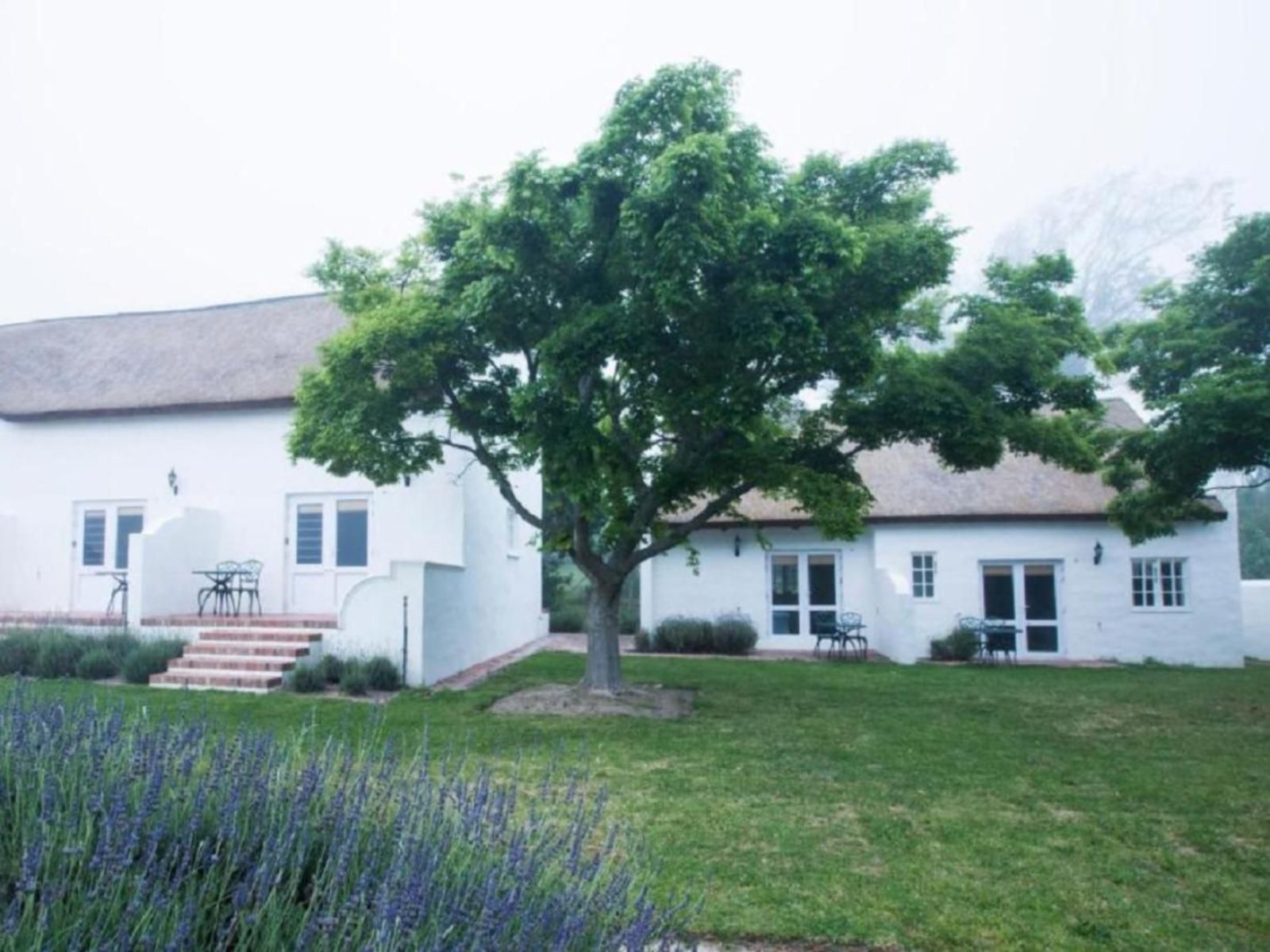 Klein Waterval Riverside Lodge Franschhoek Western Cape South Africa Building, Architecture, House, Window