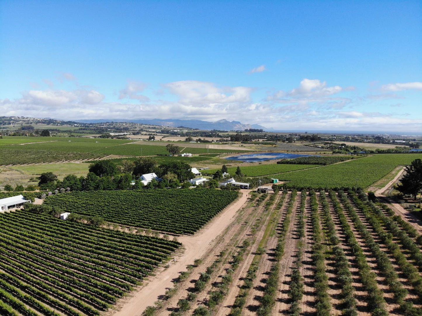 Klein Welmoed Guest House Stellenbosch Western Cape South Africa Complementary Colors, Field, Nature, Agriculture, Aerial Photography, Canola, Plant, Lowland