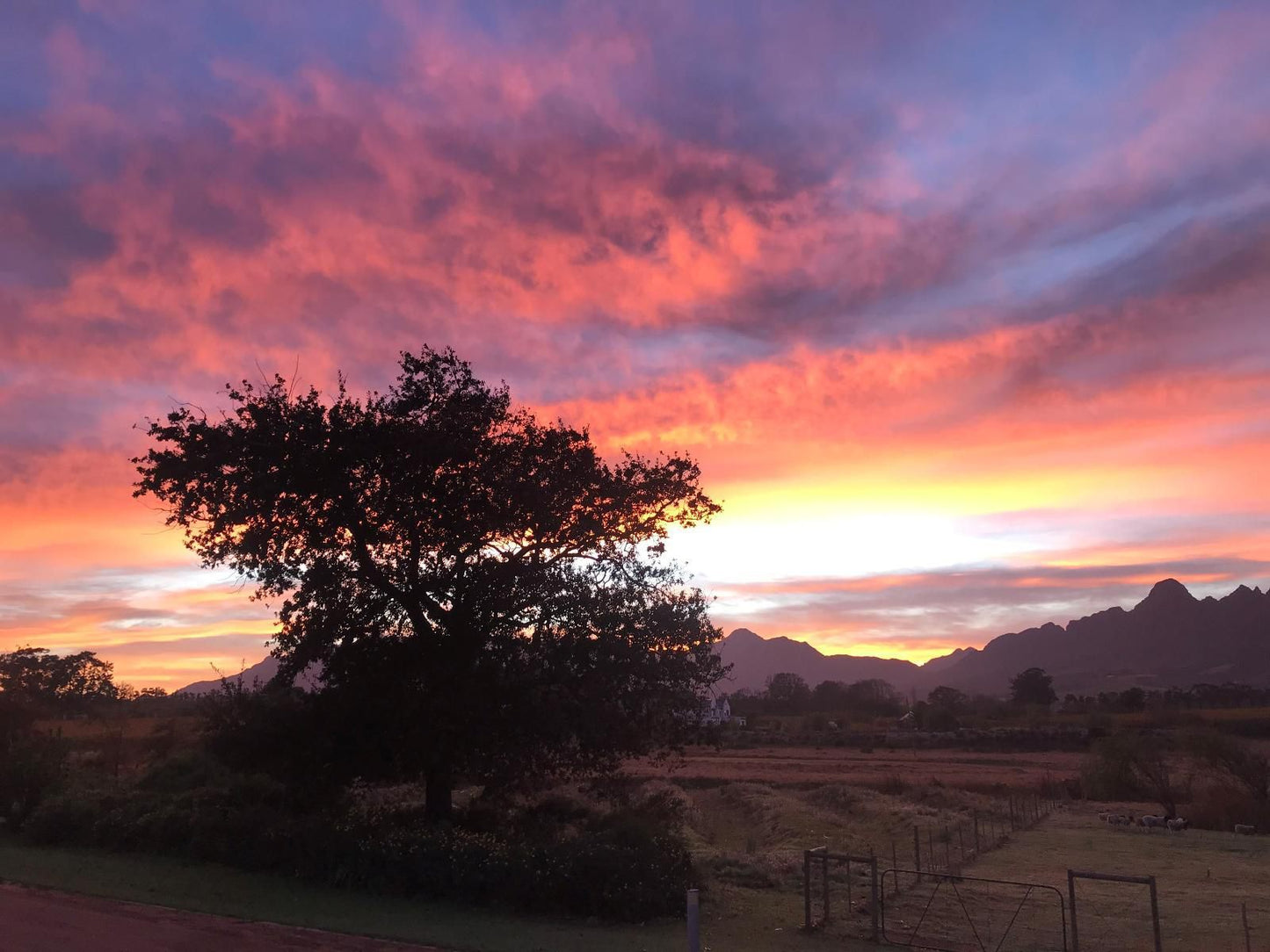 Klein Welmoed Guest House Stellenbosch Western Cape South Africa Sky, Nature, Framing, Sunset