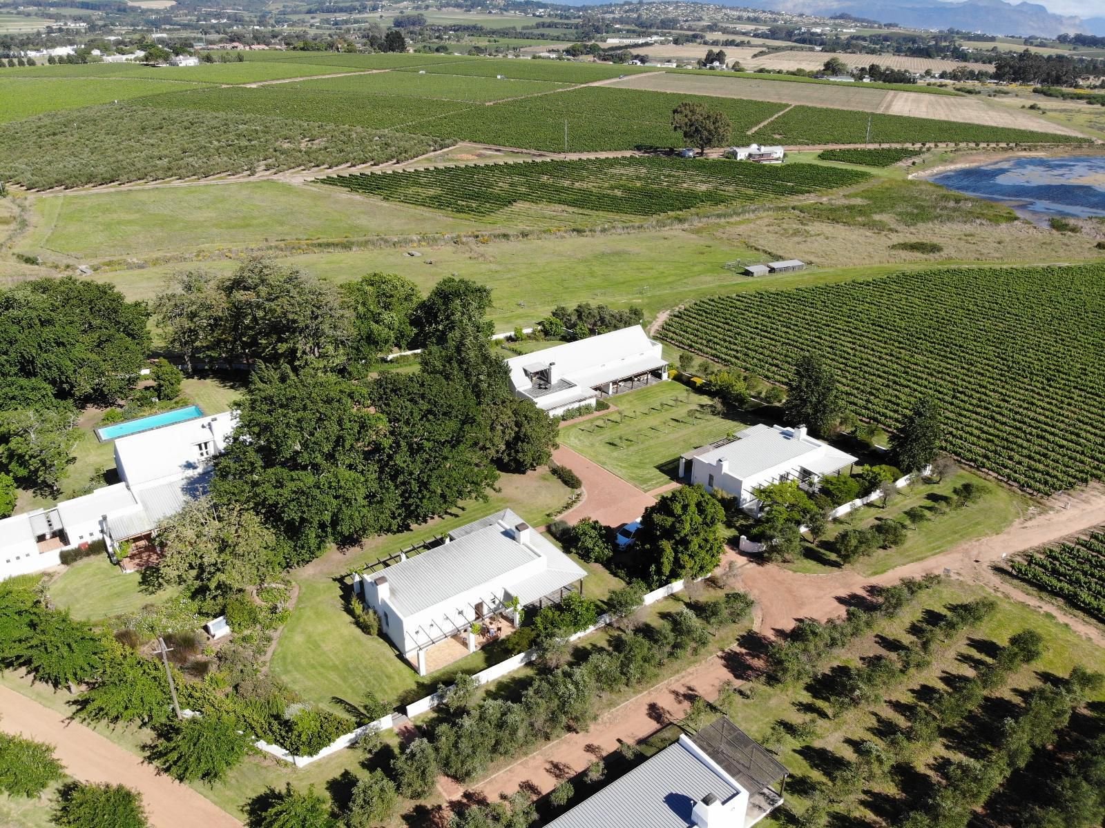 Klein Welmoed Guest House Stellenbosch Western Cape South Africa Field, Nature, Agriculture, Aerial Photography