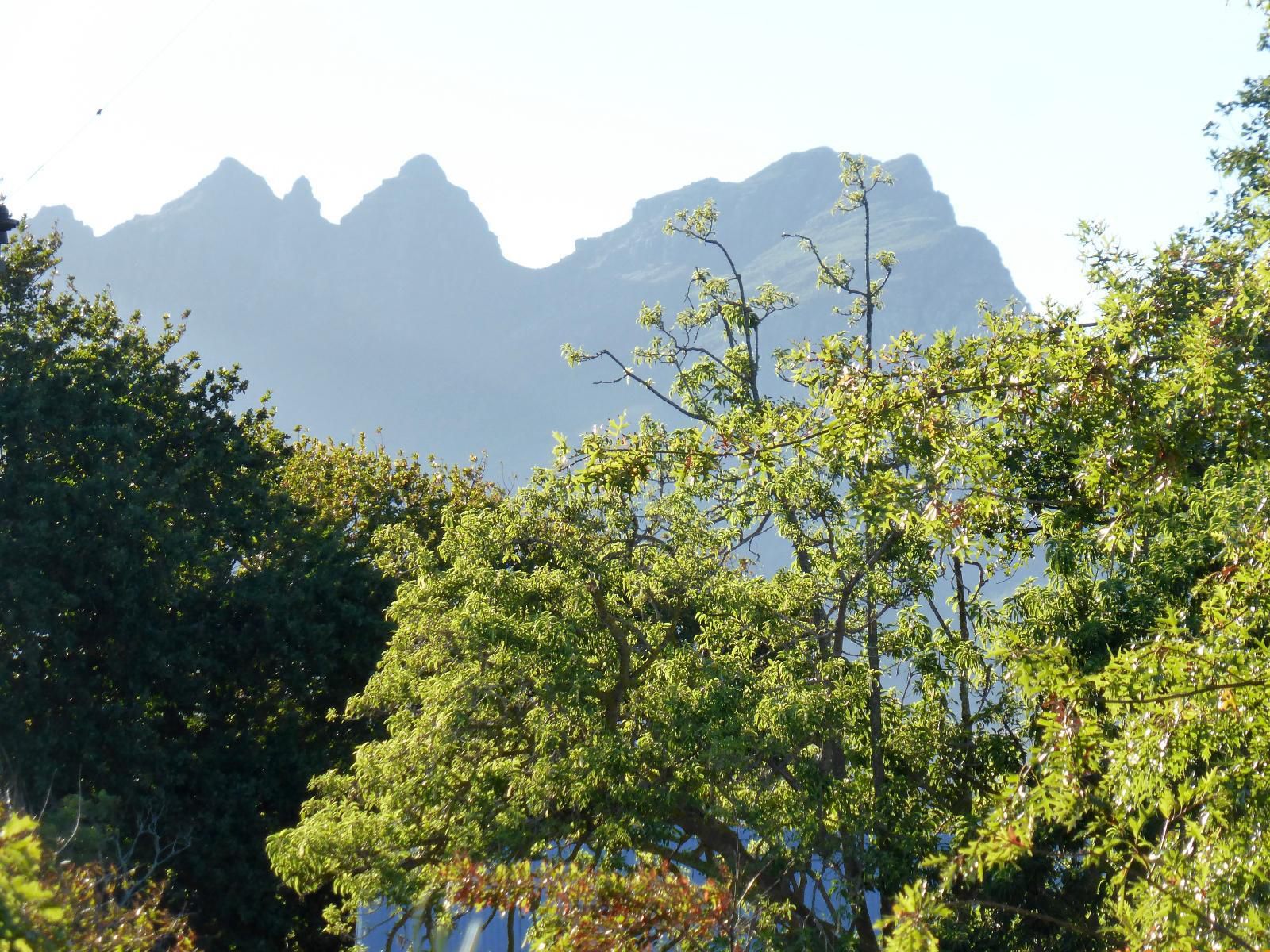 Klein Welmoed Guest House Stellenbosch Western Cape South Africa Complementary Colors, Plant, Nature