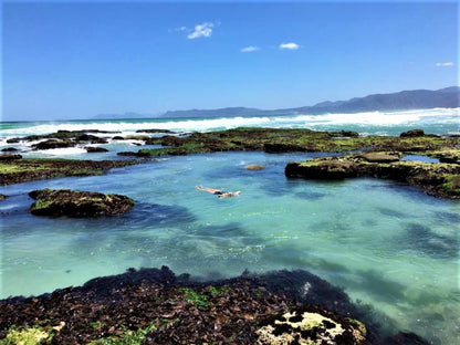 Kleinzee Oceanfront Guest House De Kelders Western Cape South Africa Beach, Nature, Sand, Ocean, Waters