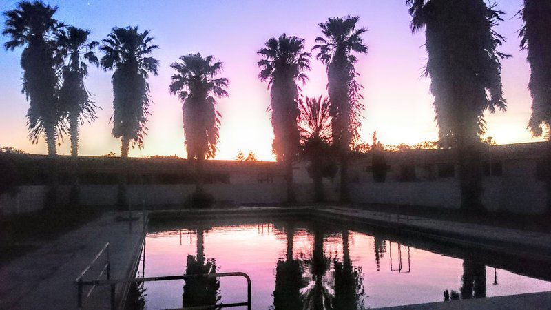 Kleinzee Spa And Rest Camp Kleinzee Northern Cape South Africa Palm Tree, Plant, Nature, Wood, Sky, Sunset, Swimming Pool