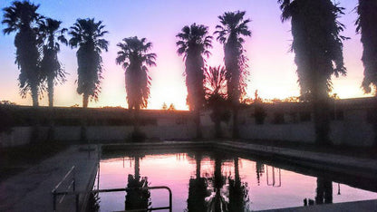 Kleinzee Spa And Rest Camp Kleinzee Northern Cape South Africa Palm Tree, Plant, Nature, Wood, Sky, Sunset, Swimming Pool