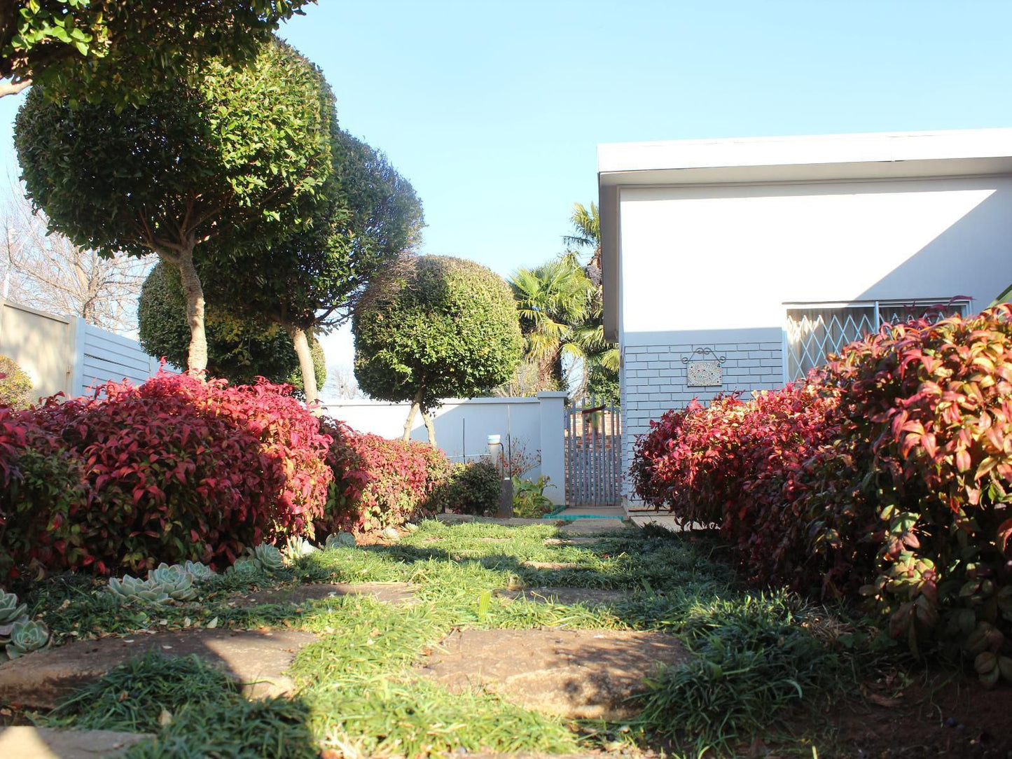 Klinkies Potchefstroom Potchefstroom North West Province South Africa Complementary Colors, House, Building, Architecture, Palm Tree, Plant, Nature, Wood, Garden