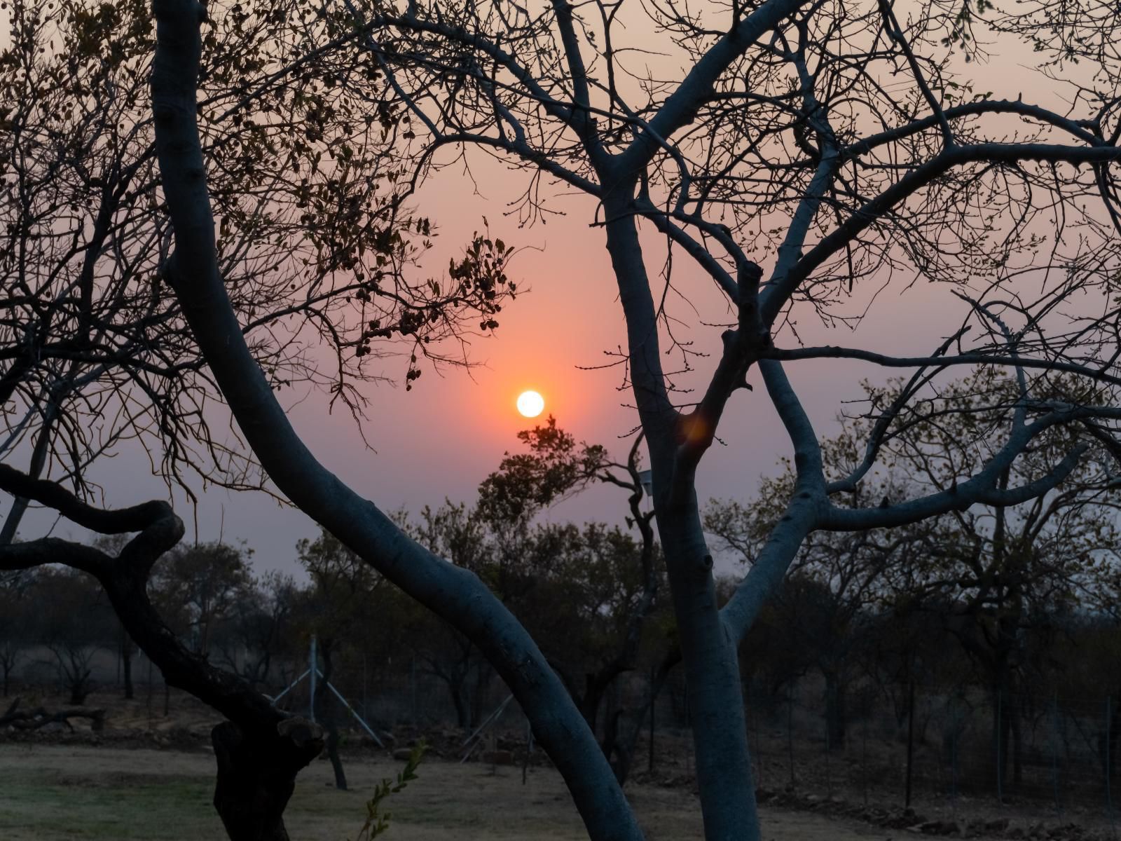 Klipdrift Sands Bush Camp, Sky, Nature, Sunset