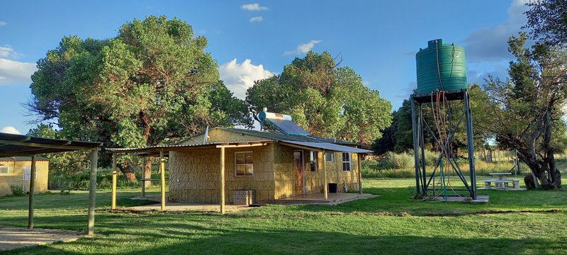 Klipfontein Game Reserve Potchefstroom North West Province South Africa Complementary Colors, Tree, Plant, Nature, Wood