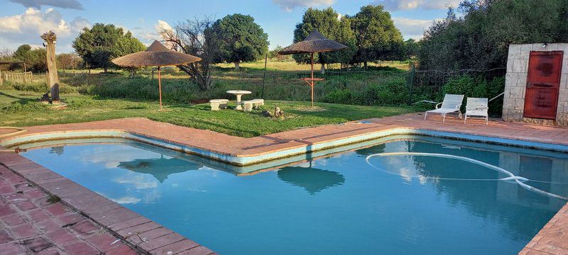 Klipfontein Game Reserve Potchefstroom North West Province South Africa Complementary Colors, Garden, Nature, Plant, Swimming Pool