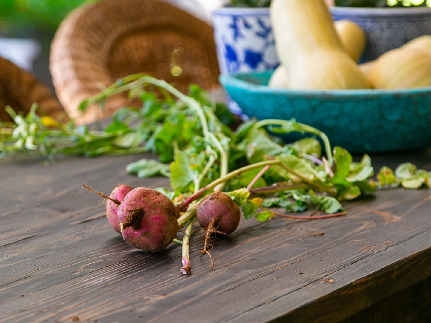 Kliphuijs Richmond Northern Cape Northern Cape South Africa Salad, Dish, Food, Vegetable