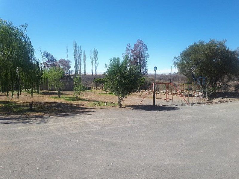 Kliphuis Country Inn Fraserburg Northern Cape South Africa Palm Tree, Plant, Nature, Wood