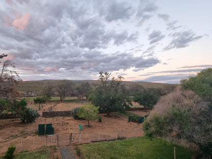 Klipkraal Sutherland Northern Cape South Africa Lowland, Nature