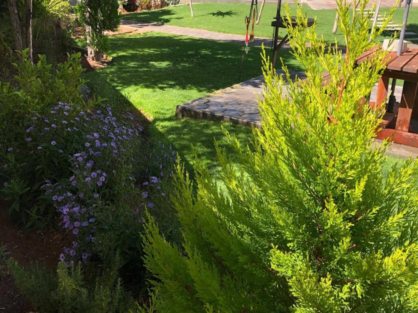 Kliprand Guesthouse Springbok Northern Cape South Africa Plant, Nature, Garden