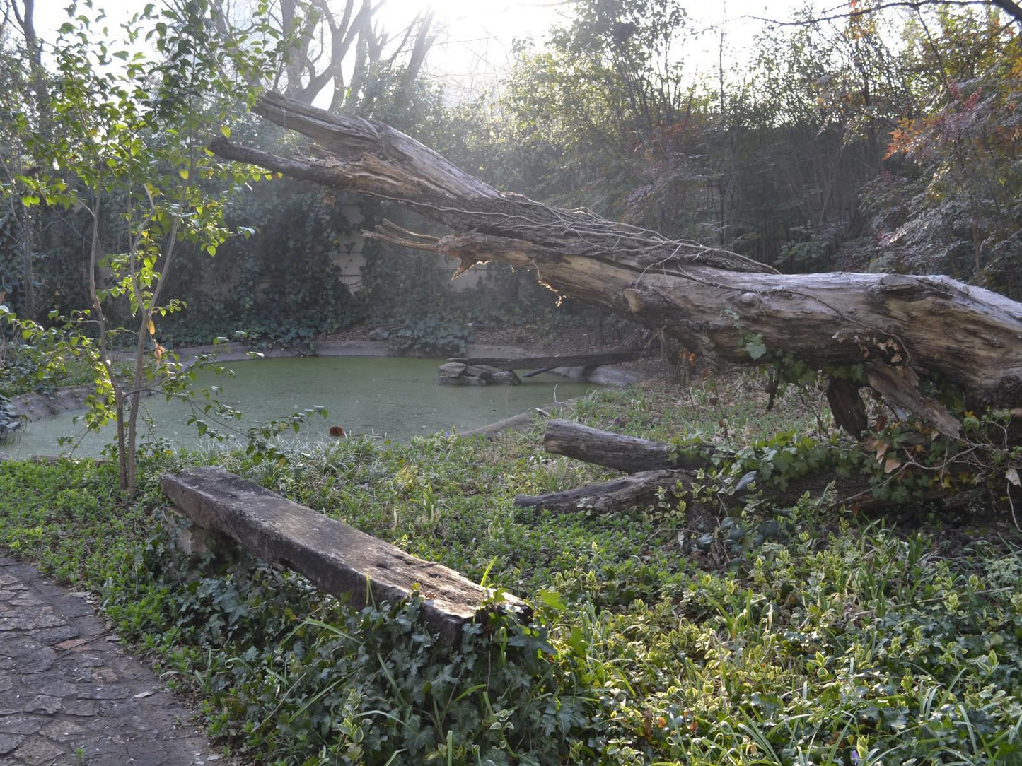 Klip River Country Estate Vereeniging Gauteng South Africa Unsaturated, River, Nature, Waters, Tree, Plant, Wood