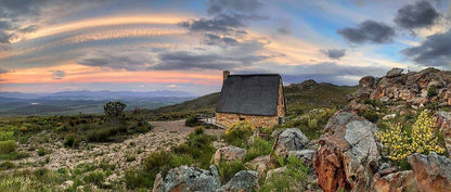 Klipspringer Mcgregor Mcgregor Western Cape South Africa Cactus, Plant, Nature, Mountain, Framing