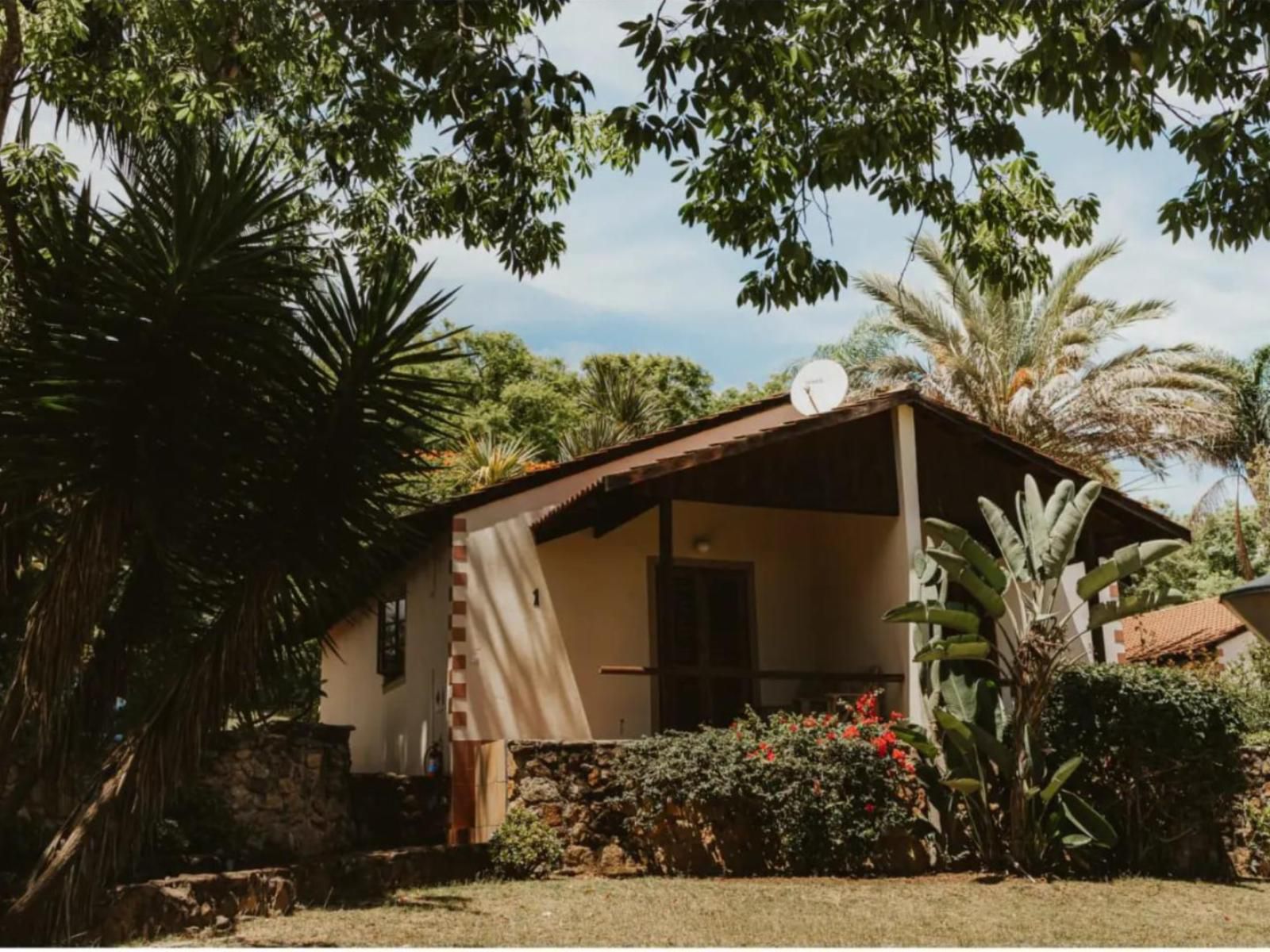 Klipspringer Lodge Nelspruit Mpumalanga South Africa Palm Tree, Plant, Nature, Wood