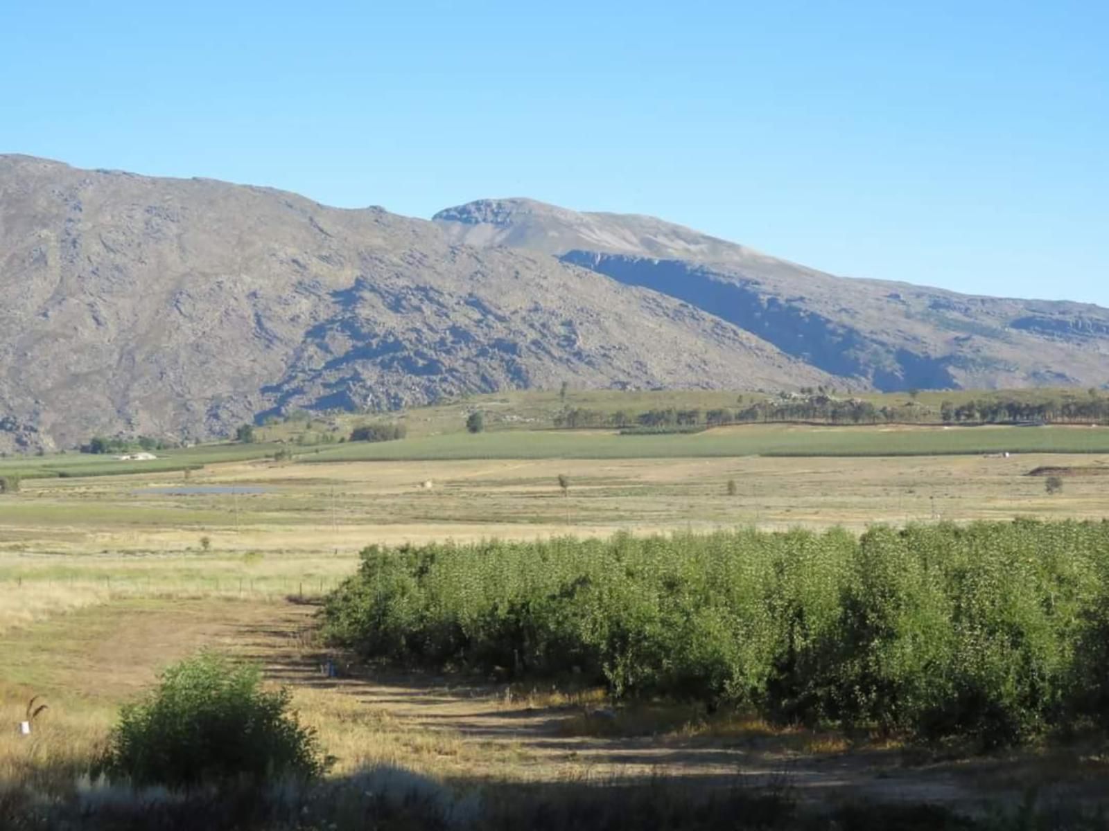 Klondyke Cherry Farm Ceres Western Cape South Africa Complementary Colors, Mountain, Nature, Highland