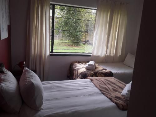 Knights Guest House Belfast Mpumalanga South Africa Window, Architecture, Bedroom