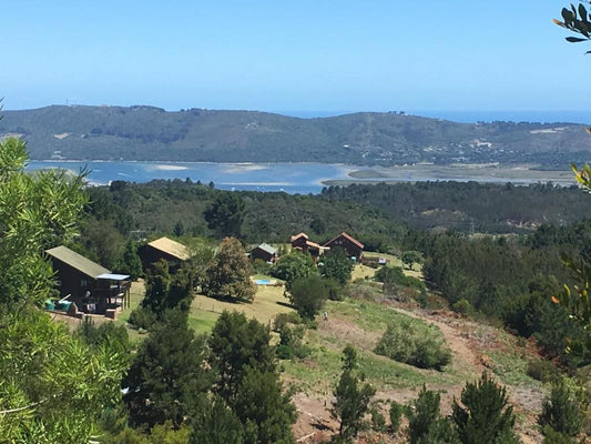 Knysna Forest View Knysna Western Cape South Africa Complementary Colors, Aerial Photography, Highland, Nature