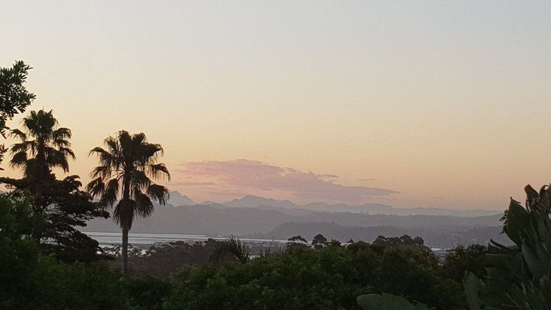 Knysna Hunters Self Catering Hunters Home Knysna Western Cape South Africa Palm Tree, Plant, Nature, Wood, Sky, Clouds, Framing, Sunset
