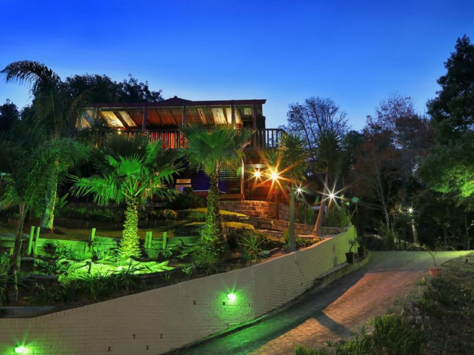 Knysna Lodge Self Catering Accommodation Knysna Heights Knysna Western Cape South Africa Palm Tree, Plant, Nature, Wood, Garden