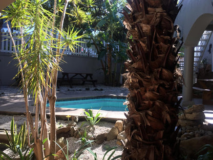 Knysna N2 Lodge Knysna Western Cape South Africa Palm Tree, Plant, Nature, Wood, Swimming Pool