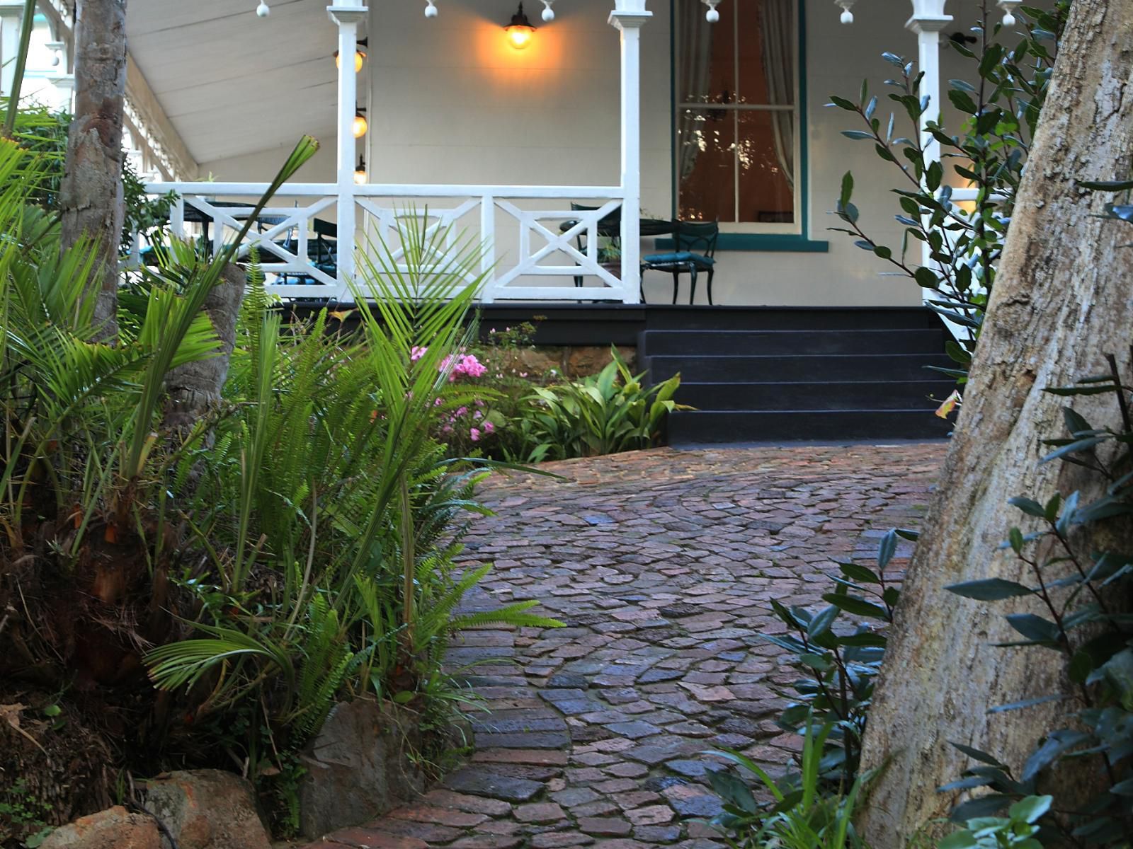 Knysna Yellowwood Lodge West Hill Knysna Western Cape South Africa House, Building, Architecture, Garden, Nature, Plant
