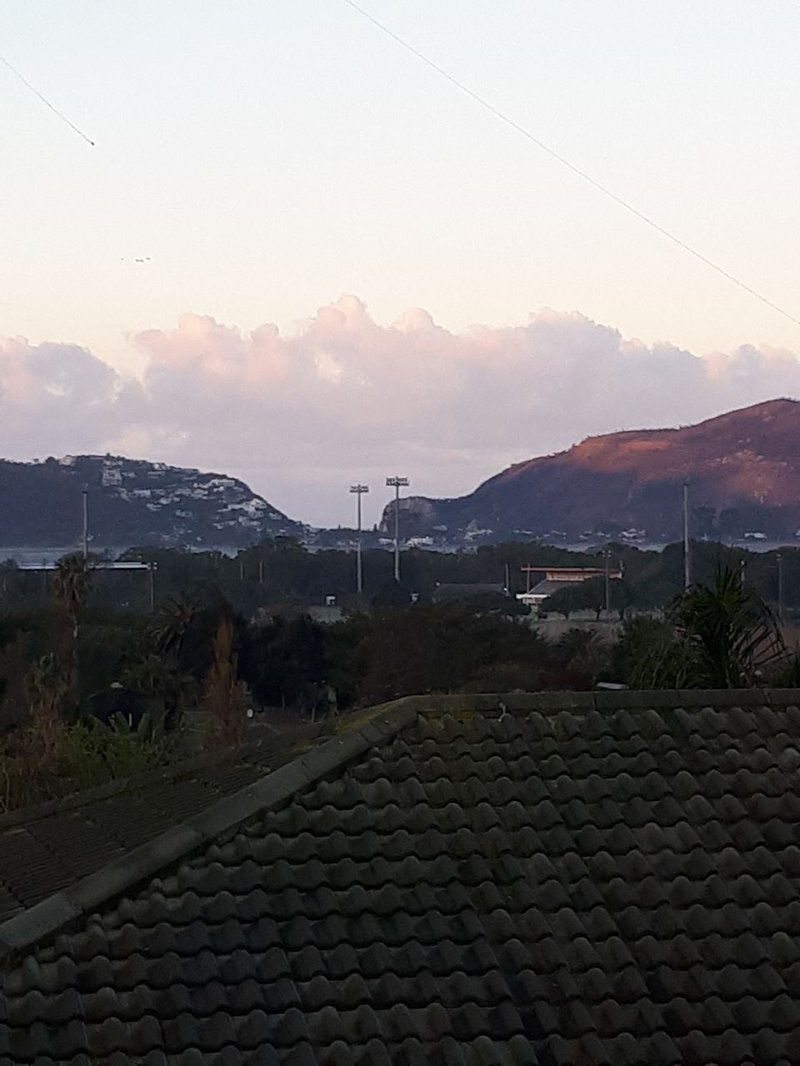 Knys N Nautical On Herons Way Old Place Knysna Western Cape South Africa Mountain, Nature, Palm Tree, Plant, Wood, Sky, Clouds, Highland