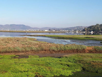 Knys N Nautical On Herons Way Old Place Knysna Western Cape South Africa Complementary Colors, Field, Nature, Agriculture, River, Waters