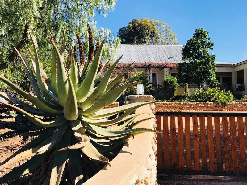 Koedoeskloof Guesthouse Ladismith Western Cape South Africa House, Building, Architecture, Plant, Nature, Garden