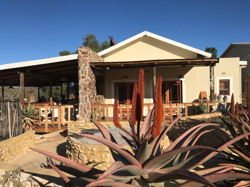 Koedoeskloof Guesthouse Ladismith Western Cape South Africa Complementary Colors, House, Building, Architecture, Palm Tree, Plant, Nature, Wood