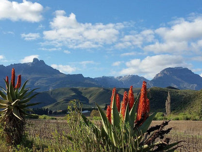 Koedoeskloof Guesthouse Ladismith Western Cape South Africa Mountain, Nature