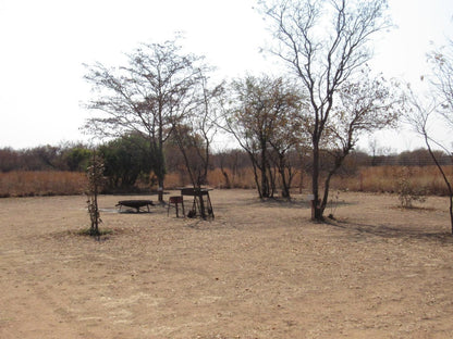 Koedoesrus Boskamp Dinokeng Game Reserve Gauteng South Africa Lowland, Nature