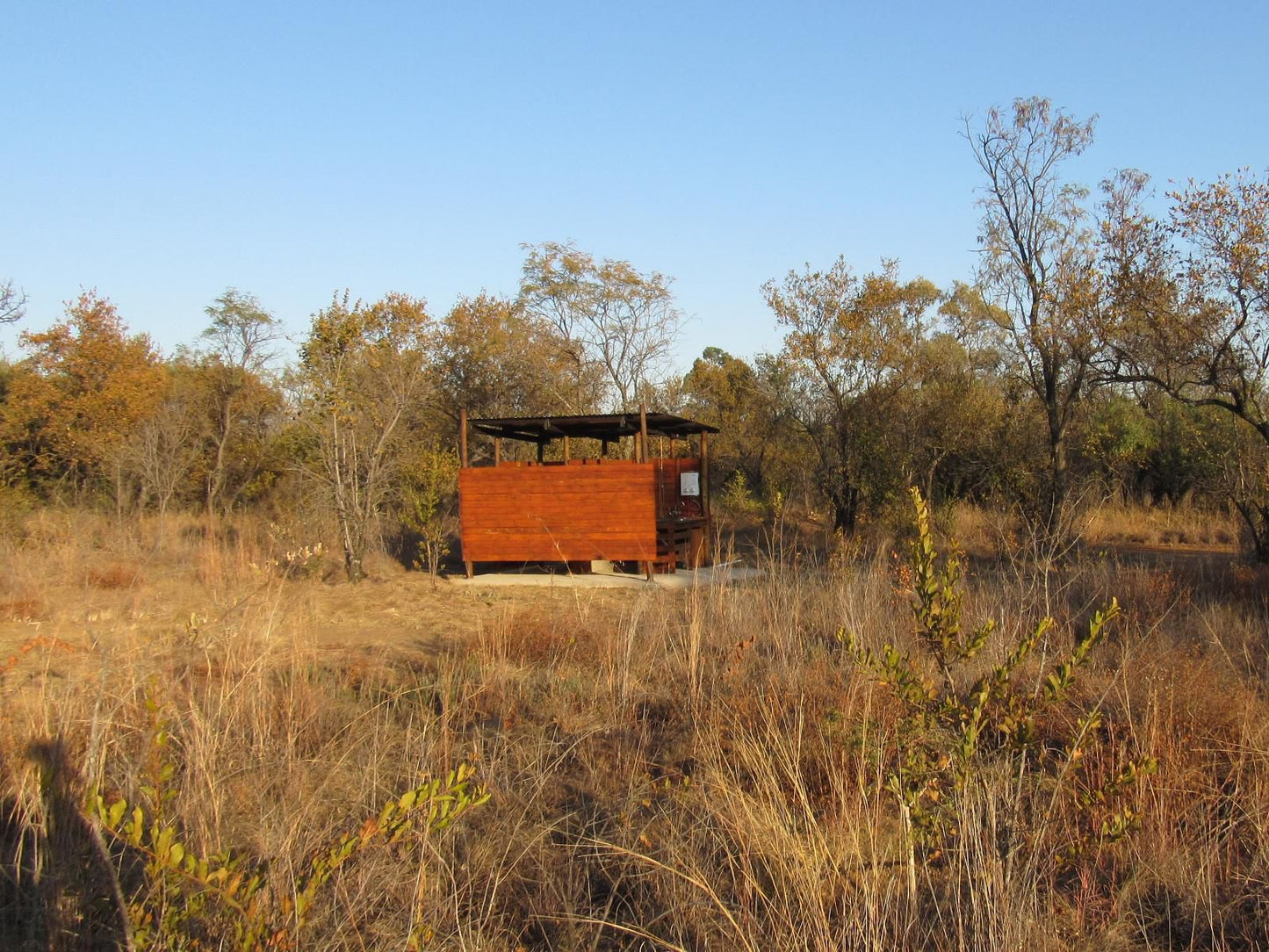 Koedoesrus Boskamp Dinokeng Game Reserve Gauteng South Africa Complementary Colors