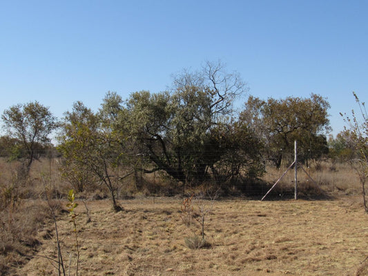 Koedoesrus Boskamp Dinokeng Game Reserve Gauteng South Africa Complementary Colors, Tree, Plant, Nature, Wood, Lowland