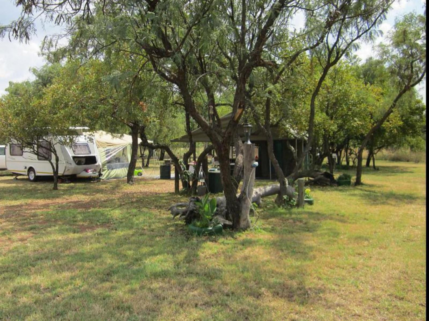 Koedoesrus Boskamp Dinokeng Game Reserve Gauteng South Africa Plant, Nature, Tent, Architecture, Tree, Wood, Cemetery, Religion, Grave