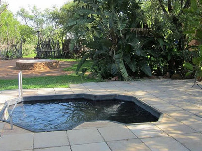 Koedoesrus Boskamp Dinokeng Game Reserve Gauteng South Africa Garden, Nature, Plant, Swimming Pool