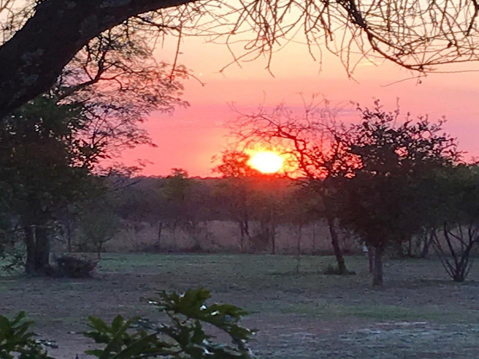 Koedoesrus Boskamp Dinokeng Game Reserve Gauteng South Africa Sky, Nature, Framing, Sunset