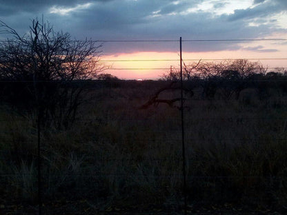 Koedoesrus Boskamp Dinokeng Game Reserve Gauteng South Africa Sky, Nature, Lowland, Sunset