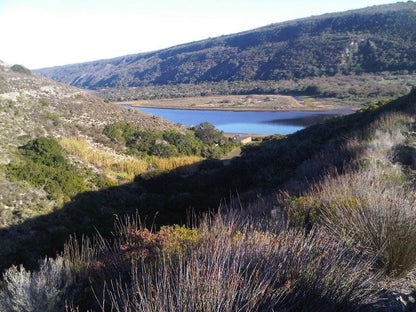 Koensrust Sea Farm Vermaaklikheid Western Cape South Africa Nature