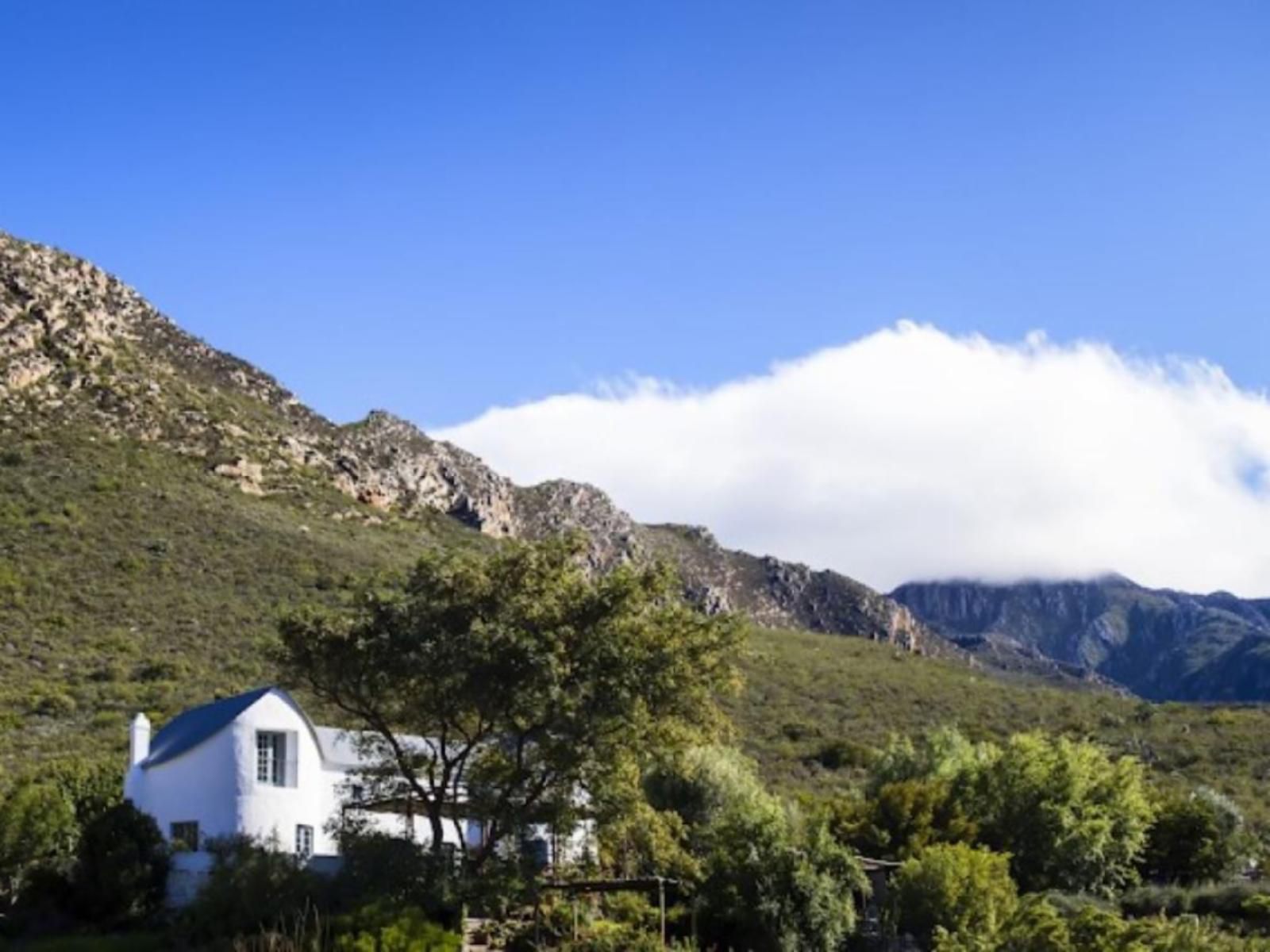Kogman And Keisie Guest Farm Montagu Western Cape South Africa Mountain, Nature