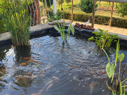 Koi Inn Hartbeespoort North West Province South Africa River, Nature, Waters, Garden, Plant