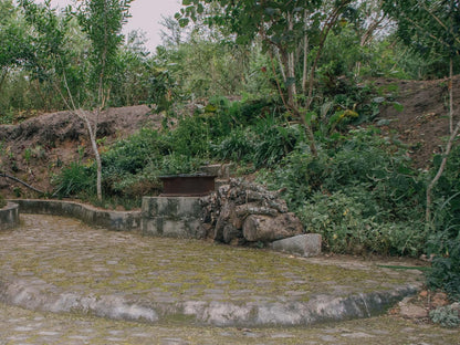 Kokiville Homestead, River, Nature, Waters, Ruin, Architecture, Waterfall