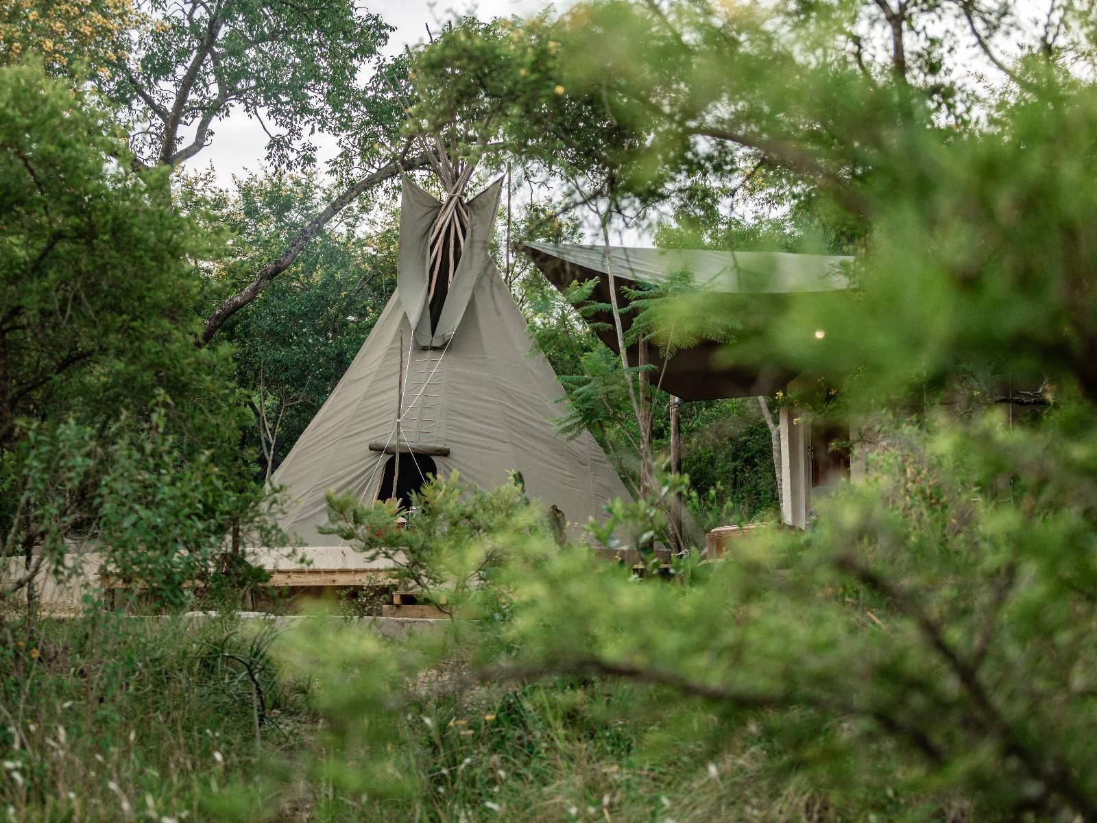 Kokiville Homestead, Tent, Architecture