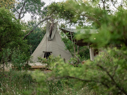 Kokiville Homestead, Tent, Architecture