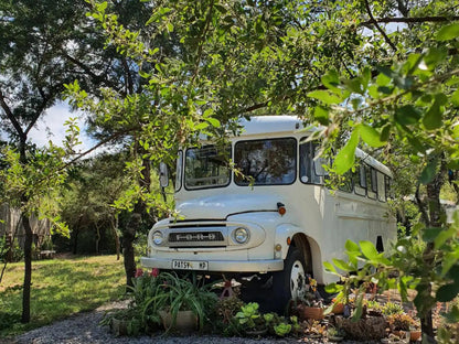 Kokiville Homestead, Vehicle