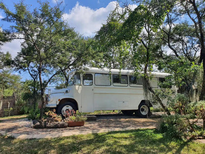 Kokiville Homestead, Bus, Vehicle, Car