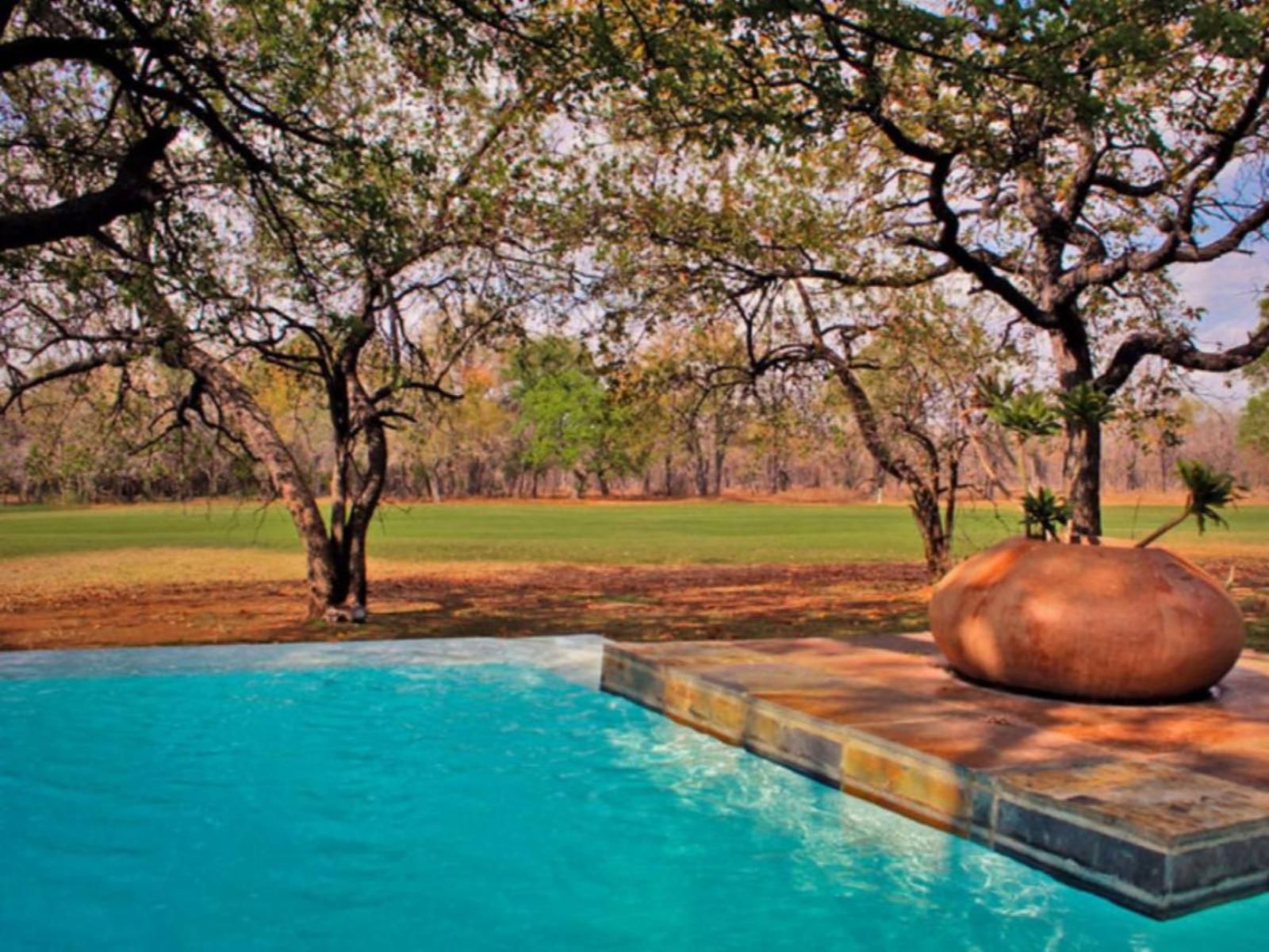 Kokobela Lodge Phalaborwa Limpopo Province South Africa Complementary Colors, Swimming Pool