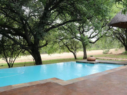 Kokobela Lodge Phalaborwa Limpopo Province South Africa Swimming Pool