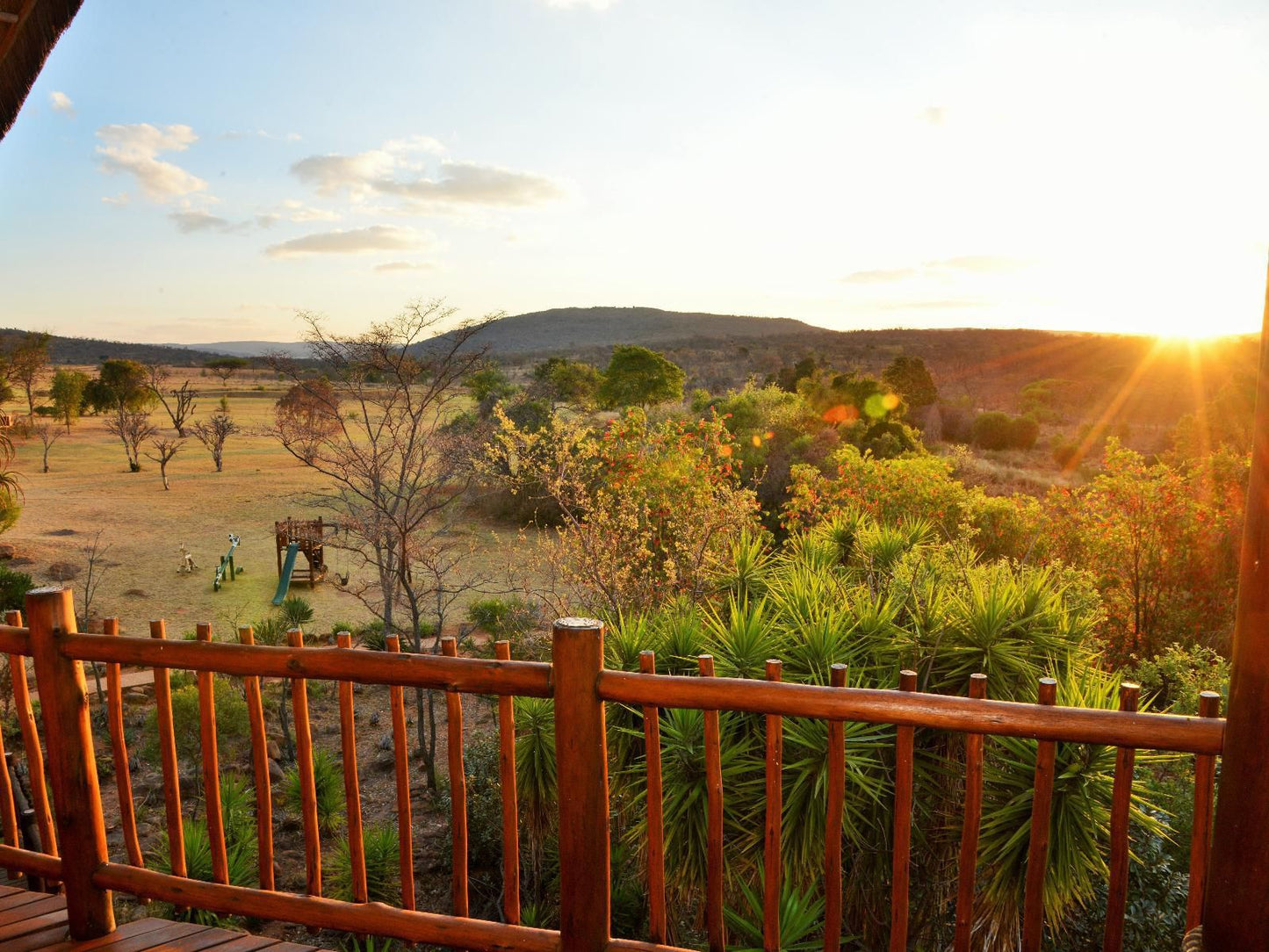 Kololo Game Reserve Vaalwater Limpopo Province South Africa Nature