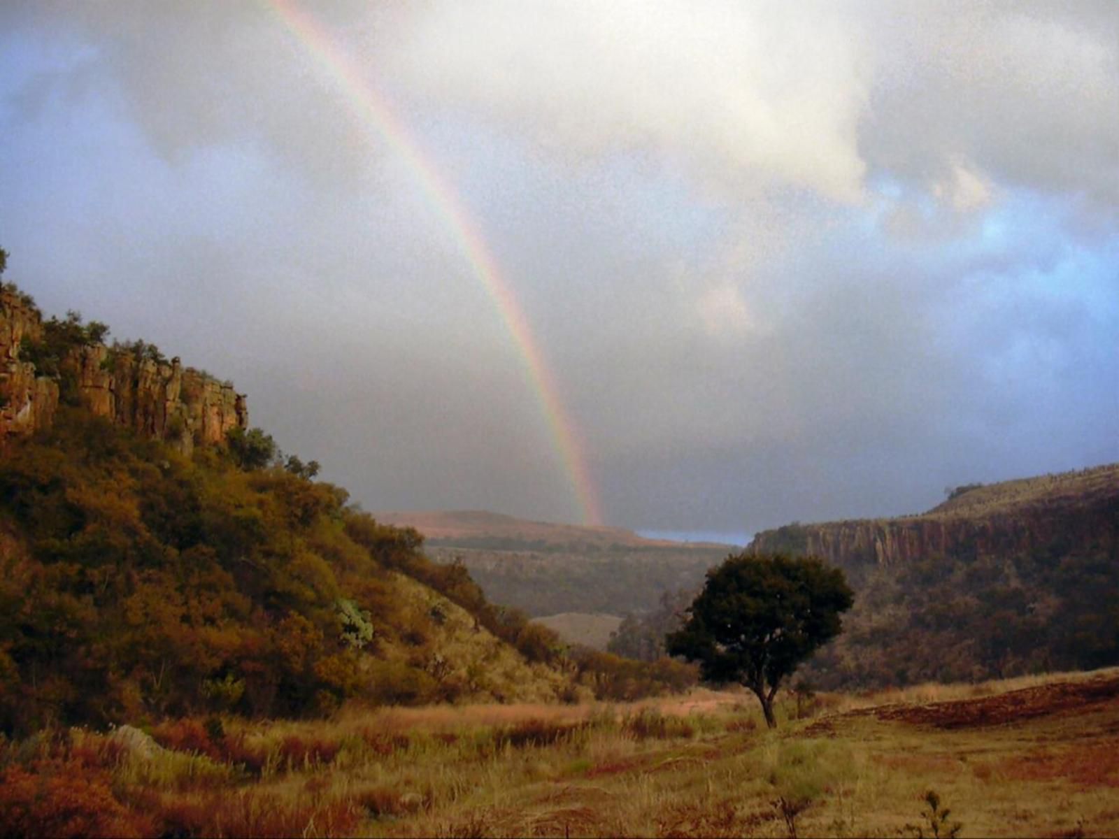 Komati Gorge Lodge, Rainbow, Nature, Tree, Plant, Wood